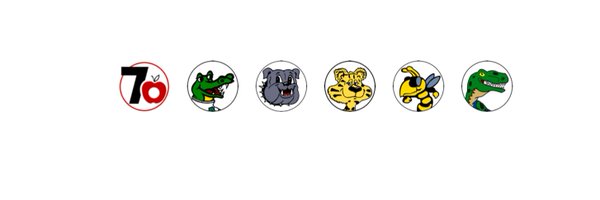 D70Foundation Profile Banner