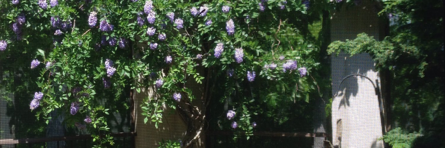 🟧Fran Carpenter banner