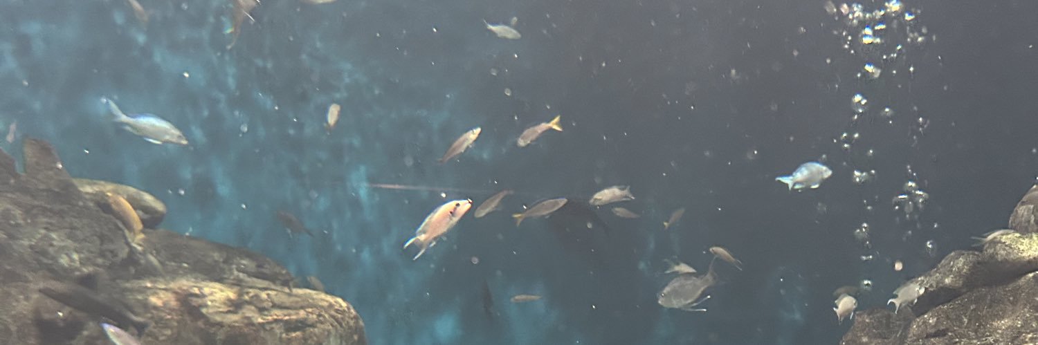 io__0106's profile banner image
