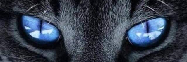 daniloturchi's profile banner image