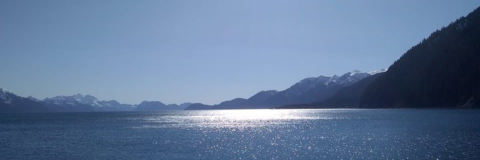timothyhowse's profile banner image