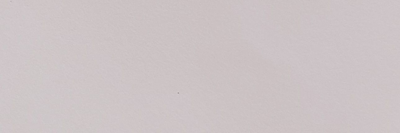 dinaaa 🐰 banner
