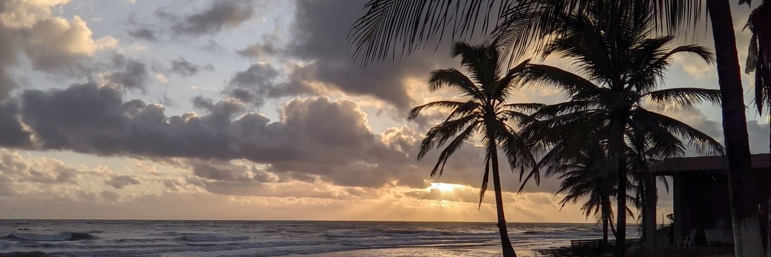 Salamandra maconheira banner