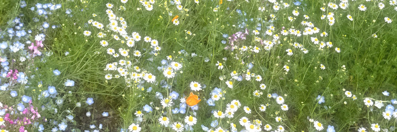 ちぃまる︎🐻‍🧡 banner