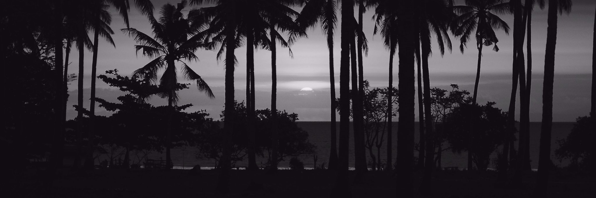 crltwy's profile banner image