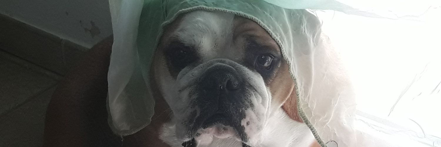 TimtheGreek74's profile banner image