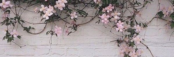 akbdlr's profile banner image