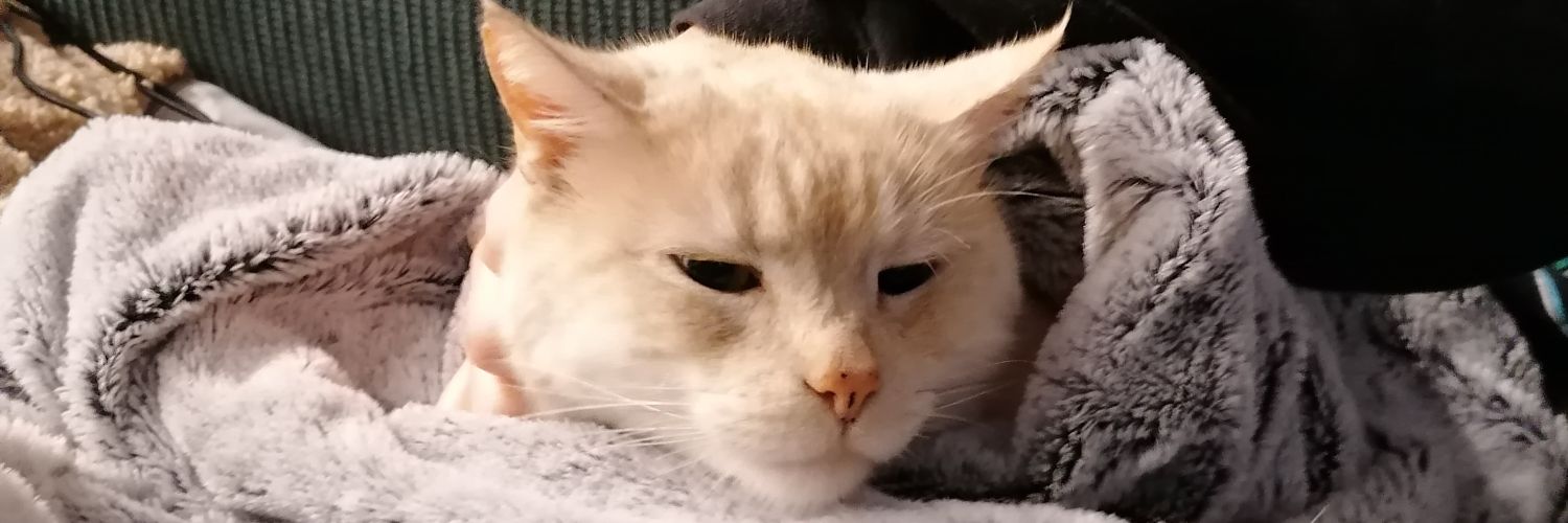 Firepistacho's profile banner image
