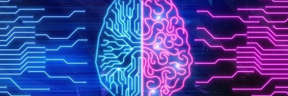 CheckBrainy banner