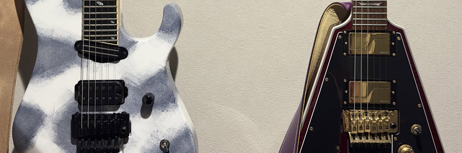 sonata_reopard's profile banner image