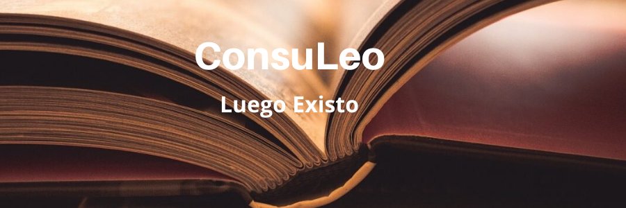 Consuelo Abellan banner