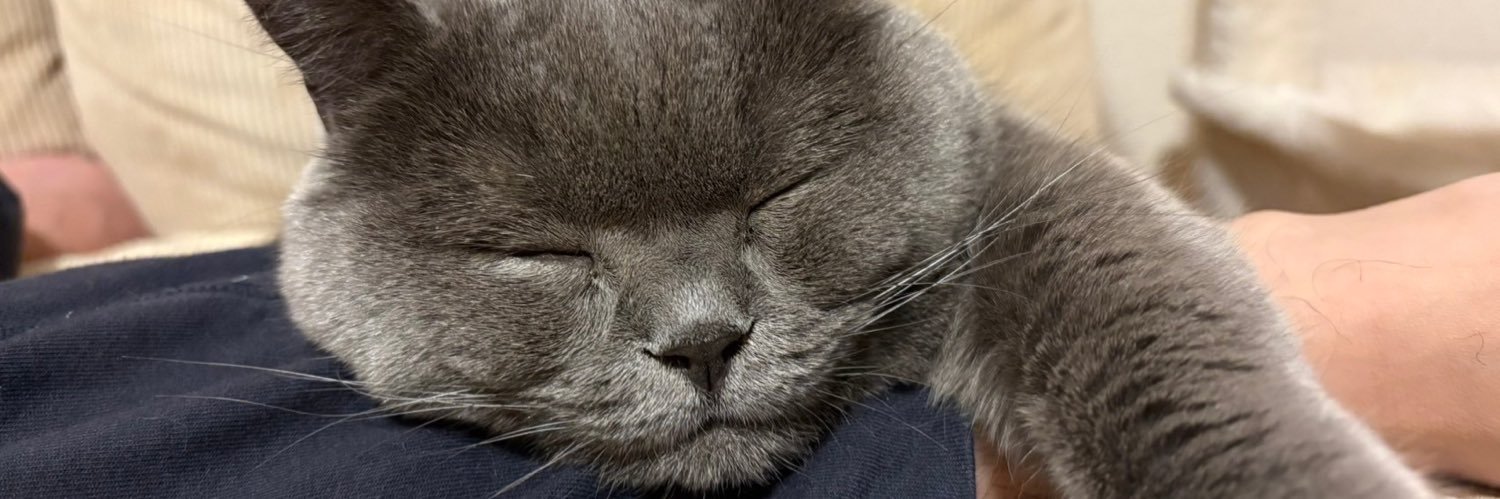 Mf31R's profile banner image