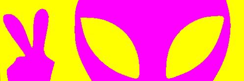 leonardo solis banner