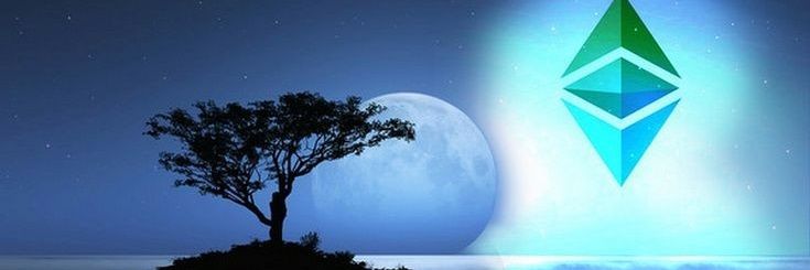 Luss_y's profile banner image
