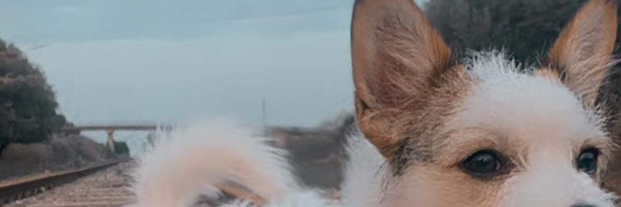 JorgeAlfredo97's profile banner image