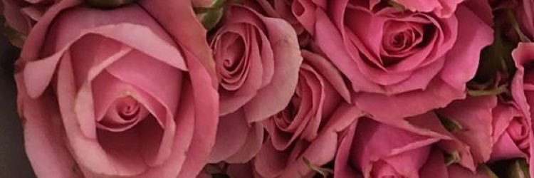 Dodi1398's profile banner image