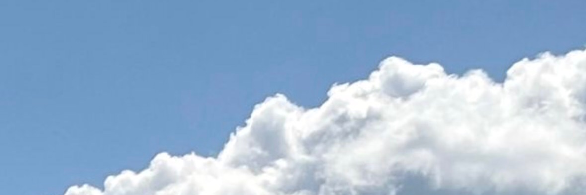 ドスコイ banner