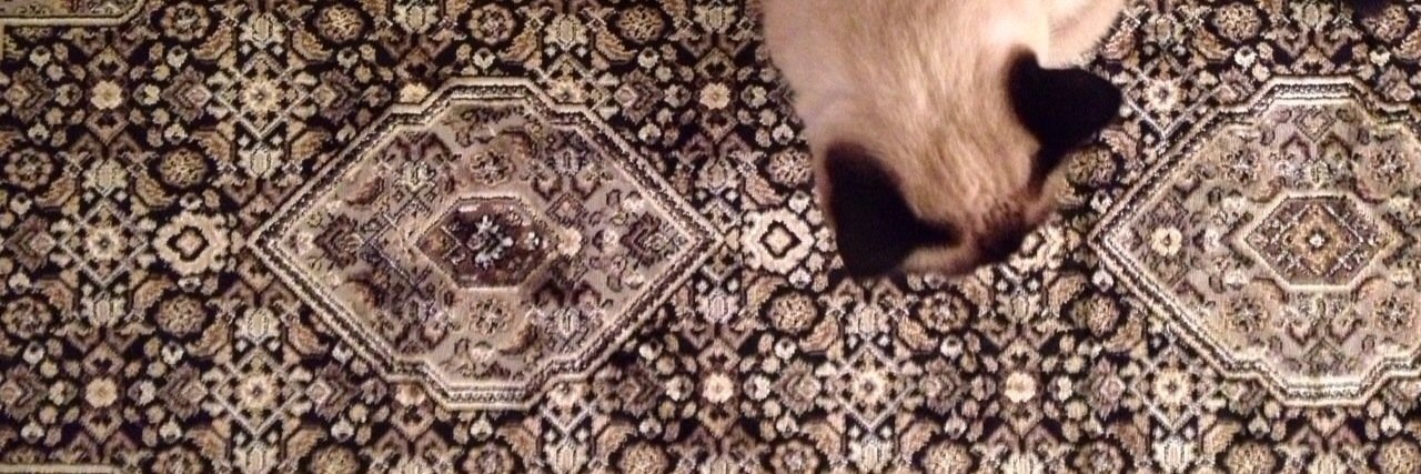 perdyhoward banner