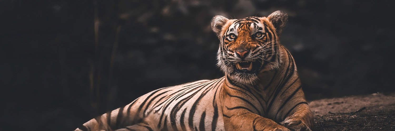 Baruipur Police District banner