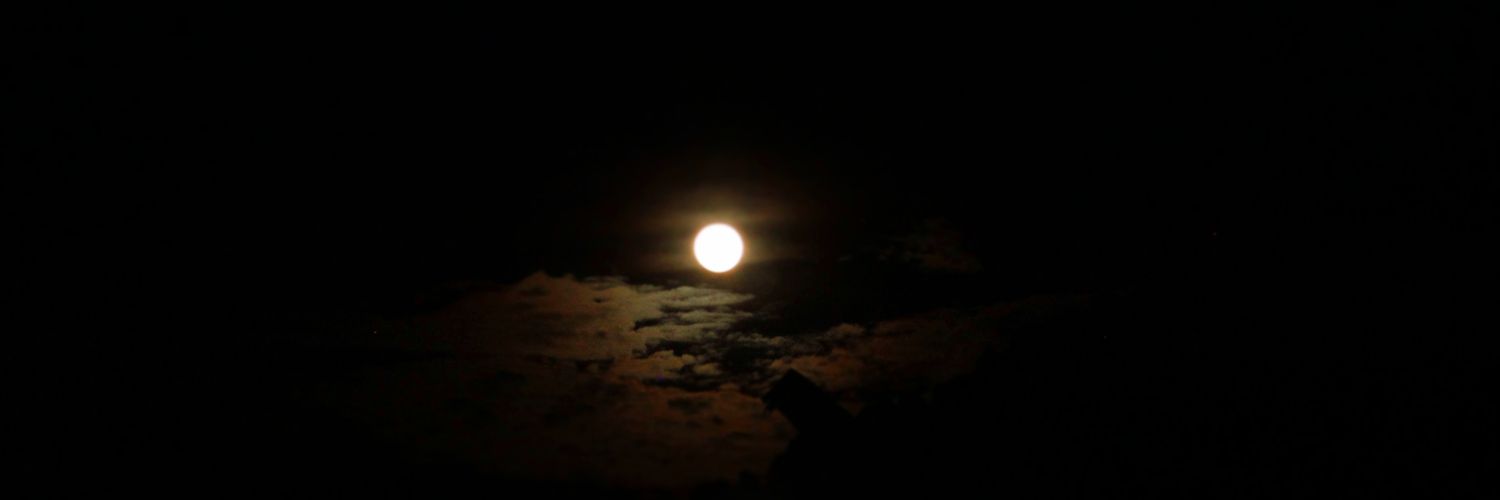 _hernandezlaura's profile banner image