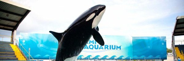 truth4toki Profile Banner