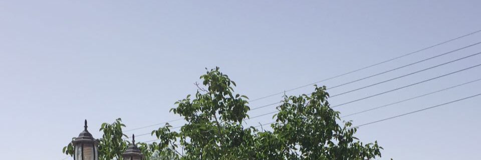 FightersTrends's profile banner image