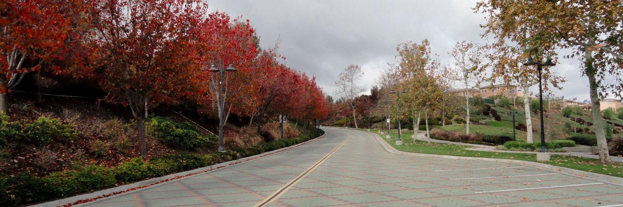 Aliso Viejo Patch banner