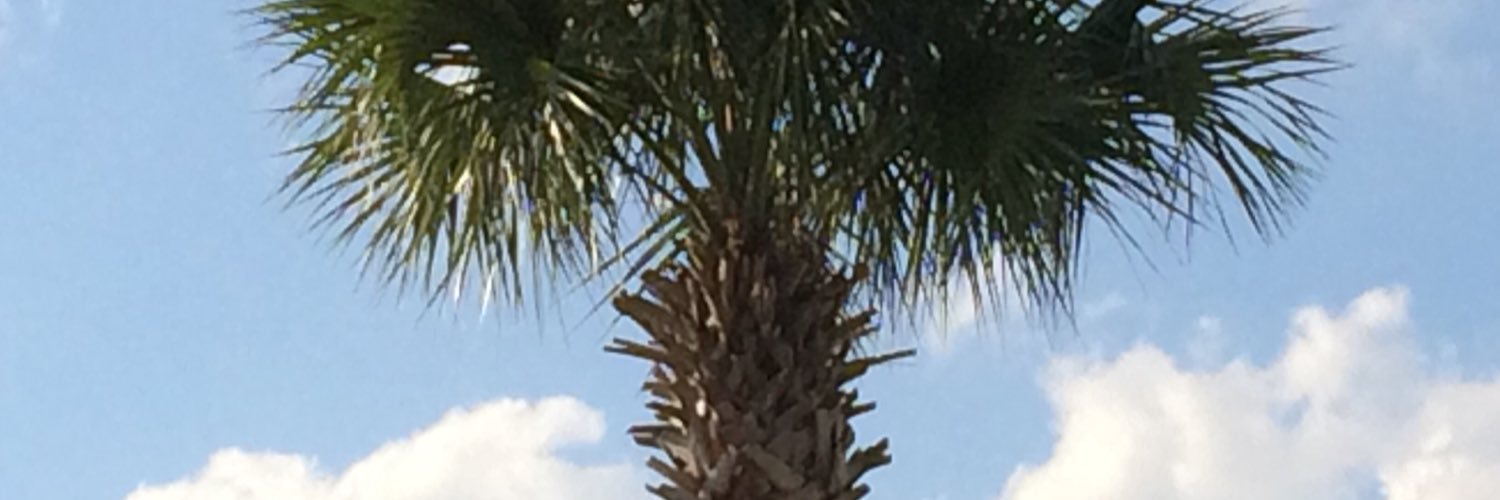 JamesDericks's profile banner image