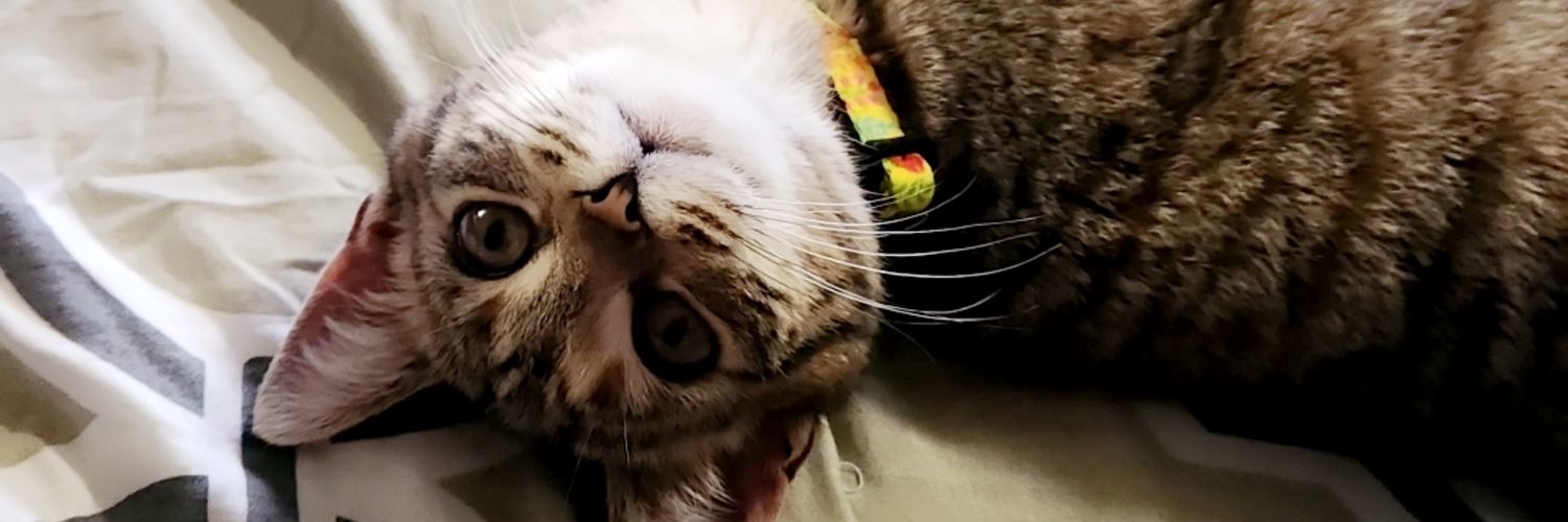 El_luismode's profile banner image