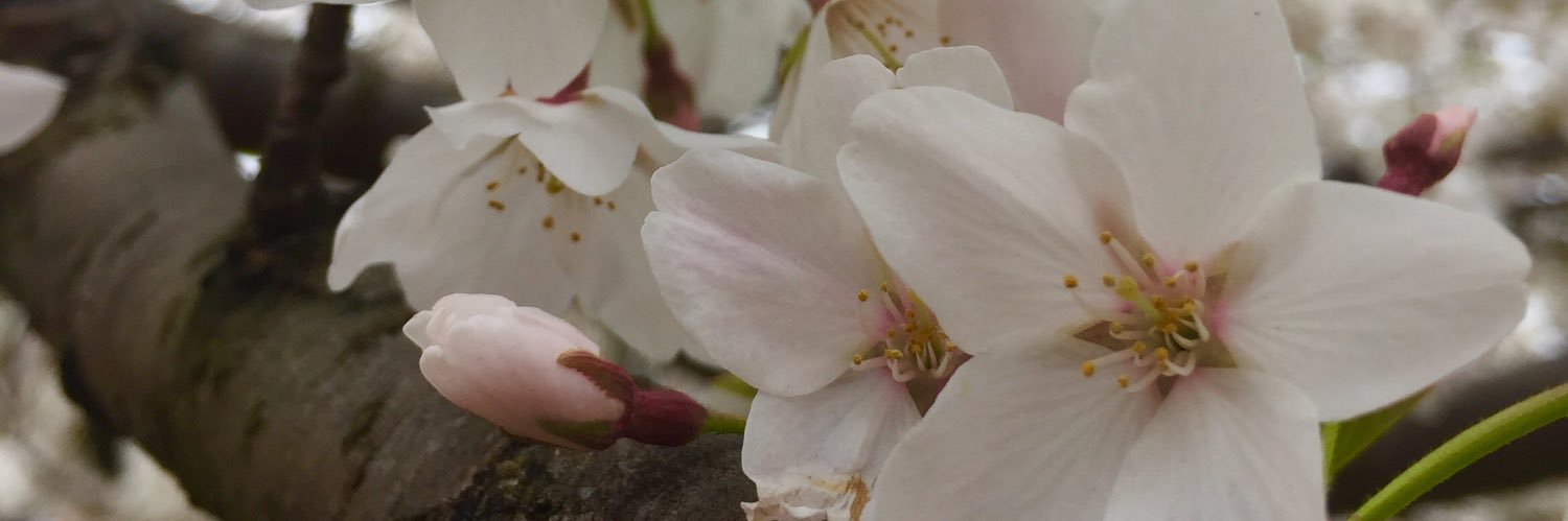 gsputrich's profile banner image
