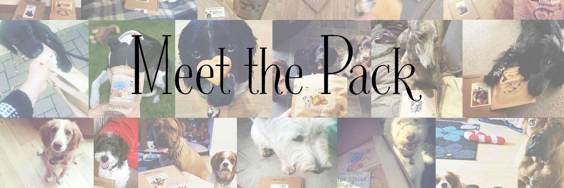 TopCollar's profile banner image