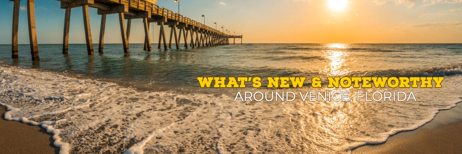 buzzofvenice's profile banner image