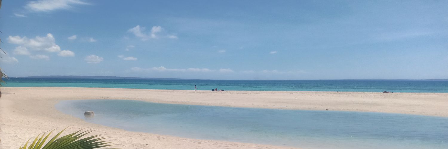 PrimeMinisterJr's profile banner image