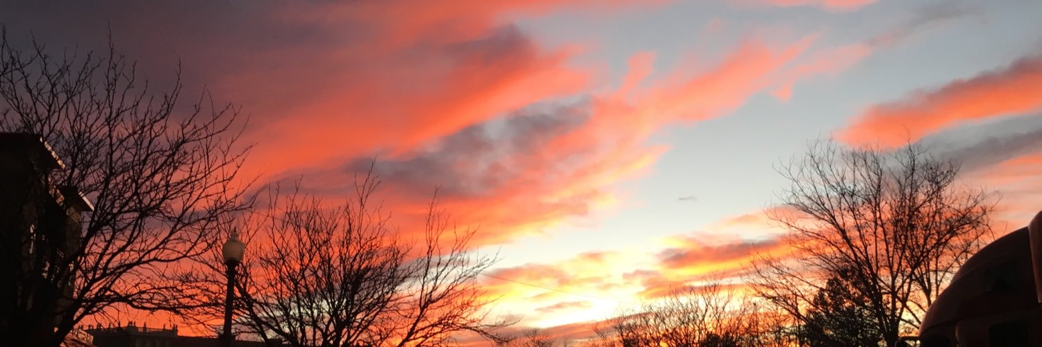 SarahAnneWrites's profile banner image