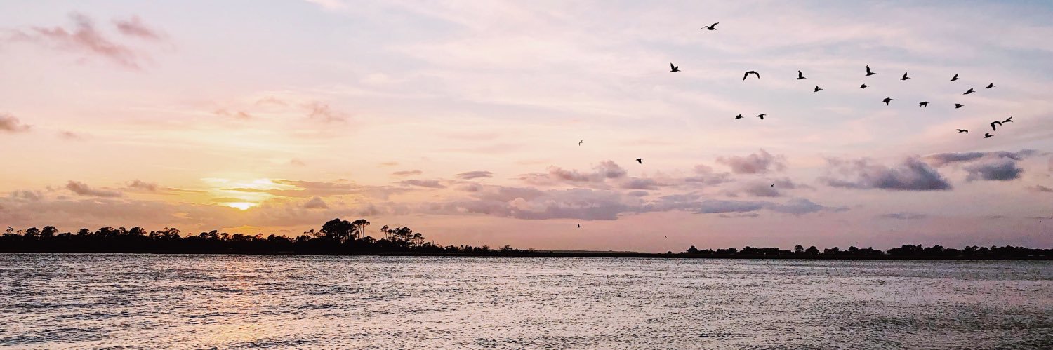 CailaB's profile banner image
