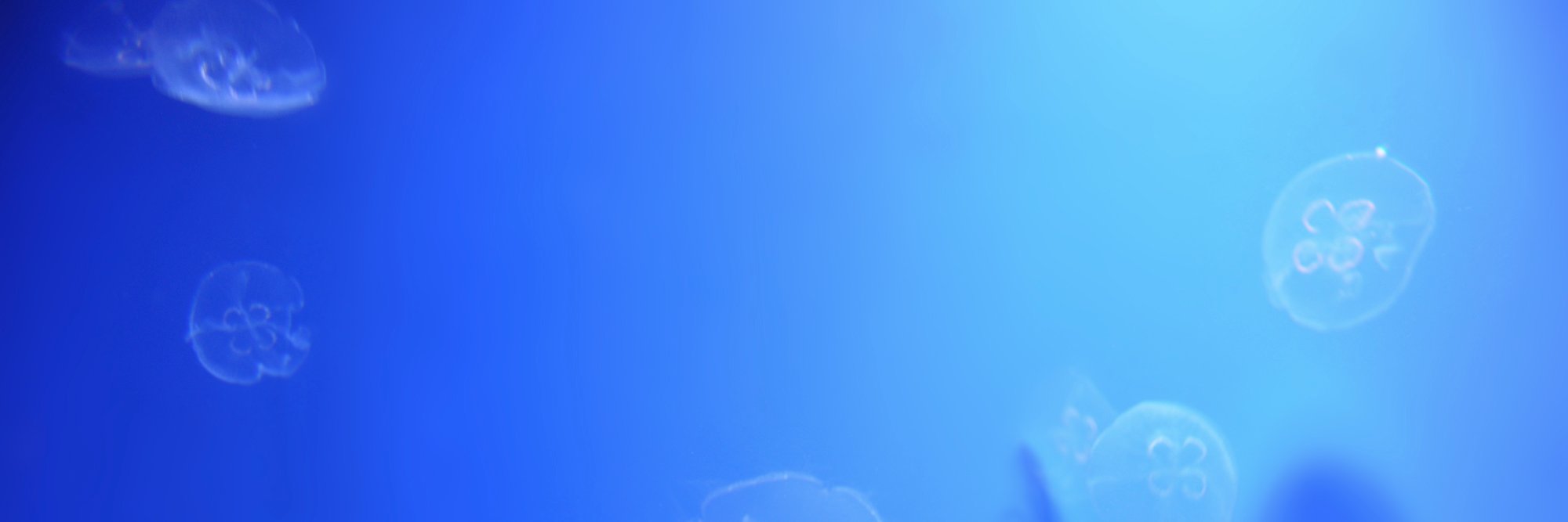 mamadlin's profile banner image