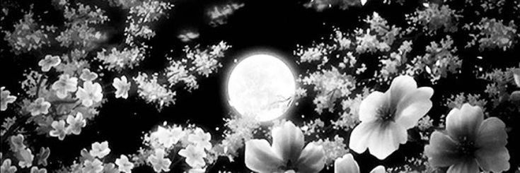 Shino banner
