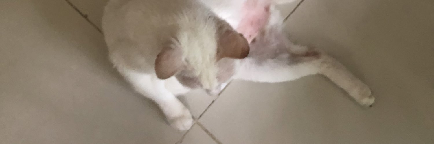 snuberr's profile banner image