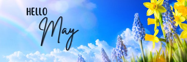 DeweyDFox Profile Banner