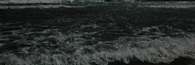 호두 banner
