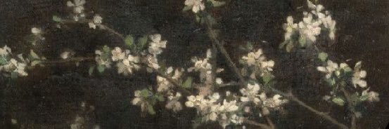 Adan banner