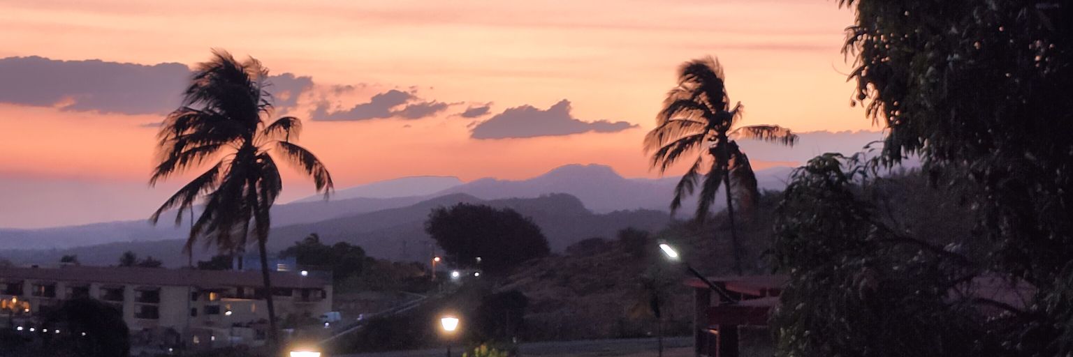 семь котят в пальто banner