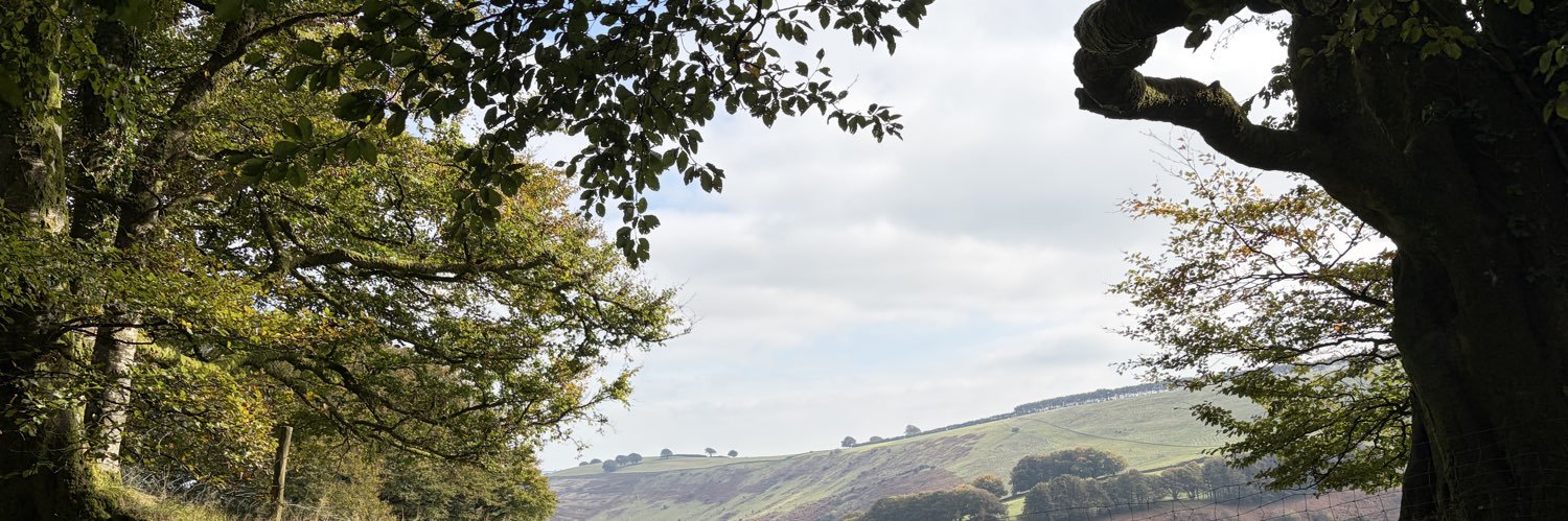 BornFab_NotAFAB banner