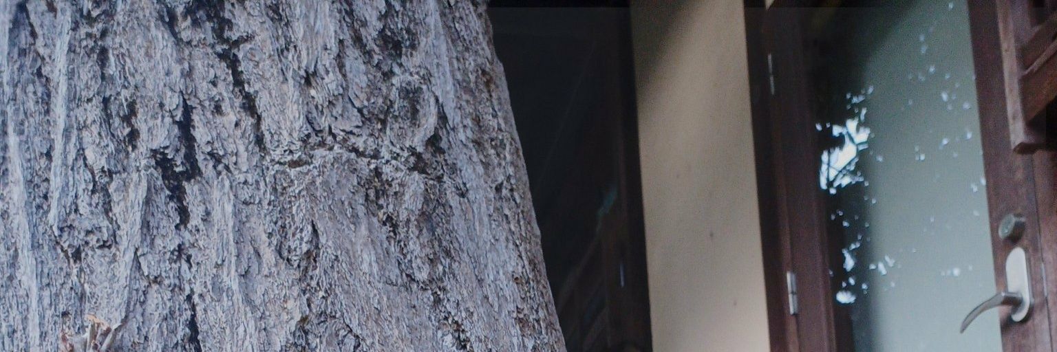 osaka_sei's profile banner image