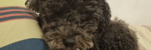El9deNepal Profile Banner
