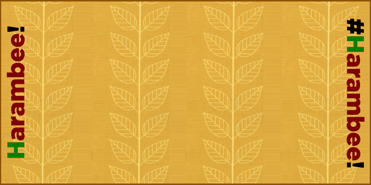 harambee banner