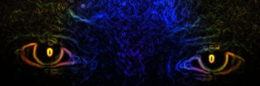 norayneeh's profile banner image