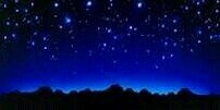 NeliLyra's profile banner image