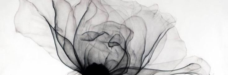 𝓒⭒ banner