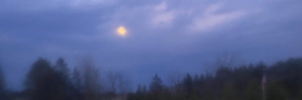 DavidKoude51757 Profile Banner
